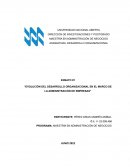 VOLUCIÓN DEL DESARROLLO ORGANIZACIONAL EN EL MARCO DE LA ADMINISTRACIÓN DE EMPRESAS
