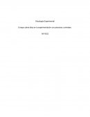 Ensayo sobre ética en la experimentación con personas y animales