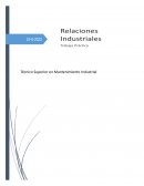 Evolución de relaciones industriales. Técnico Superior en Mantenimiento Industrial