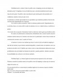 VIABILIDAD LEGAL, PROYECTO GRAFFITI