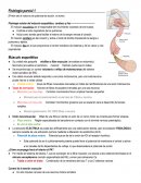 Notas fisiología