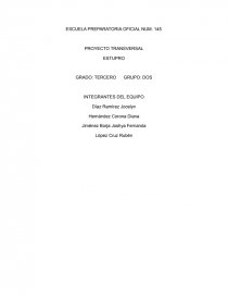 PROYECTO TRANSVERSAL. ESTUPRO. Página 1