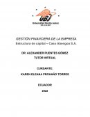 GESTIÓN FINANCIERA DE LA EMPRESA Estructura de capital – Caso Abengoa S.A.