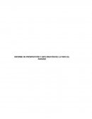 INFORME DE PROSPECCIÓN Y EXPLORACIÓN DE LA FINCA EL PARAÌSO