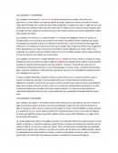 LAS CIUDADES Y LA MEMORIA