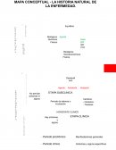 MAPA CONCEPTUAL - LA HISTORIA NATURAL DE LA ENFERMEDAD
