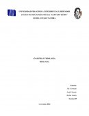 ANATOMIA Y FISIOLOGIA. MIOLOGIA.