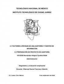 FACTORES A REVISAR EN UNA AUDITORÍA Y FUENTES DE INFORMACIÓN. Página 1