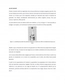 Ley de Coulomb