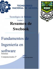 Resumen de Swebook. Página 1