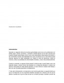 Introducción a la profesión