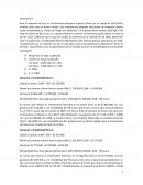 Ejercicio inversionista extranjero