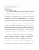 Cambio en la identidad cultural desde la musicalidad actual