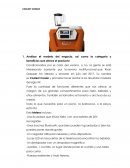 Investigacion de Mercados COOLEST COOLER