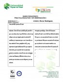 DIARIO PEDAGÓGICO PRÁCTICA EDUCATIVA Y DE OBSERVACIÓN II