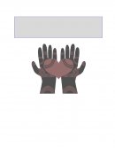 Navitaire Operaciones Diarias