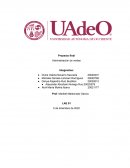 Proyecto final Administración de ventas