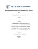 PLAN DE MARKETING: CASO CINEPLANET