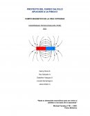 PROYECTO DEL CURSO CALCULO APLICADO A LA FISICA ll