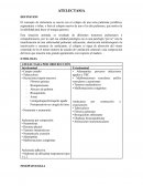 ATELECTASIA Y BRONQUIECTASIA