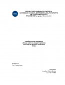 LINGÜÍSTICA EN VENEZUELA (Ensayo sobre los rasgos lingüísticos a los largo del territorio venezolano)