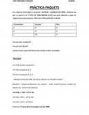 PRÁCTICA PAQUETS MICRO II