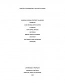 PROCESO DE ELABORACION DE UN DULCE DE PAPAYA