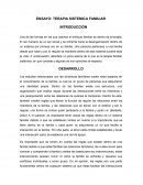 Ensayo Terapia Sistemica Familiar