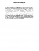 ELEMENTO 2: ACTIVO REALIZABLE