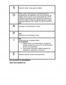 ANOTACIONES DE ENFERMERIA