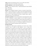 Ordenación sistemática de bodegas: el caso de la Rioja (España)