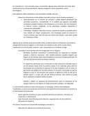 Propuestas ideas sobre plan de acción para Honduras