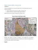 Práctica 1: Transporte público y transporte privado