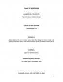 Plan de negocio (Hotel del ángel)