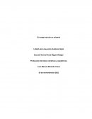 Rezago escolar en primaria