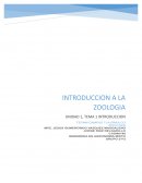Antecedentes y relación de disciplinas en zoología