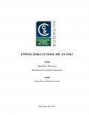 Identificar Procesos Identificar Controles Esenciales