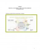 Hecho y Acto Jurídico, conceptos fundamentales