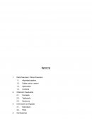 Delito financiero: Pánico financiero