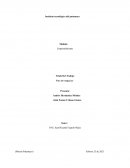 Plan de negocios BënëñSOFT