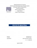 Proyecto industrial