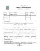 Actividad Álgebra Lineal – Determinantes
