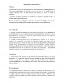 PROPUESTA PEDAGOGICA IE NEW LIFE