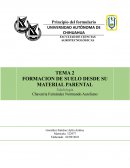 FORMACION DE SUELO DESDE SU MATERIAL PARENTAL