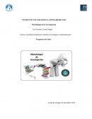 Metodología de la investigación. ¿Qué es el universo?