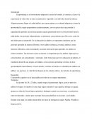 Aprendizaje de adultos y formas de promoverlo