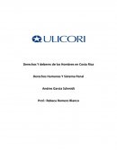 Derechos Humanos Y Sistema Penal