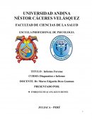 Evaluación psicológica por presunto delito de Violencia Física contra la mujer o miembros del núcleo familiar