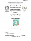 Absorción farmacocinetica