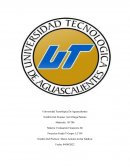 Ensayo Libro Como te ves te contratan